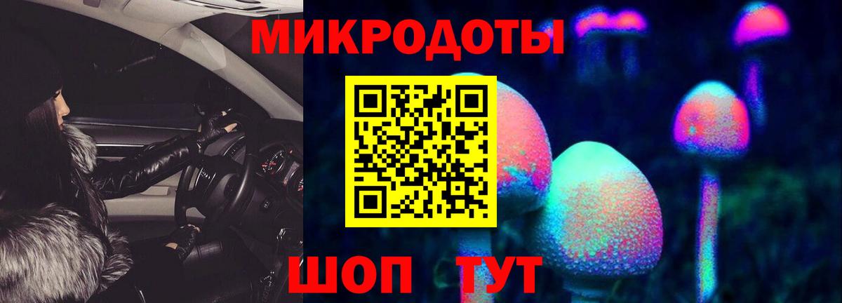 Галлюциногенные грибы Cubensis  что такое   Вход с VPN  Шумерля  Галлюциногенные грибы Psilocybine cubensis 